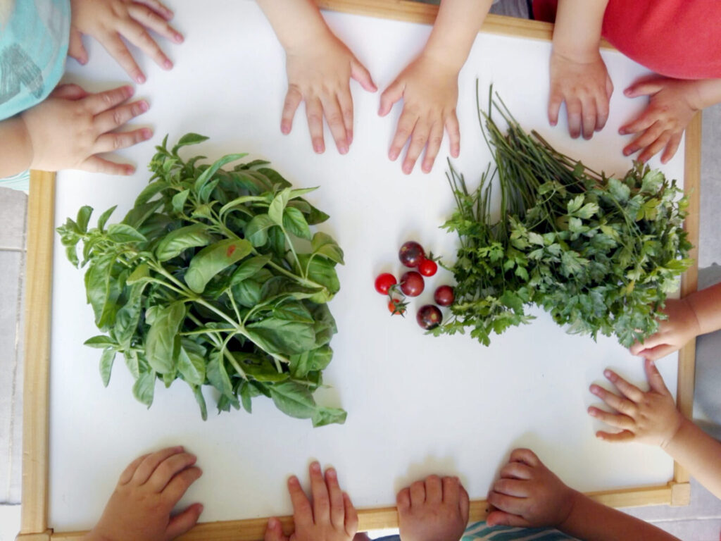 MENU FEBRER 2026 - ESCOLETA